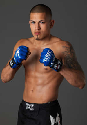 Hot Latino UFC-kæmper Anthony Pettis — Vivo Pad5 Wallpapers