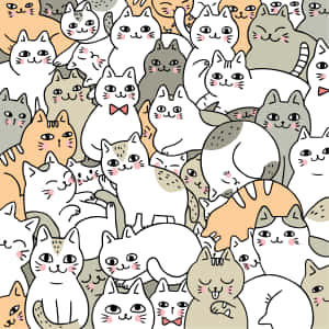 Søde kattebilleder — Sød kat Wallpapers