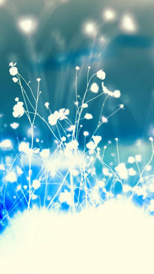 Hvid Blå Blomst iPhone — Blomst Wallpapers