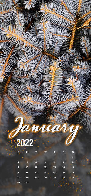 Baggrund med hvidt fyrretræ til januar 2022 — iPhone 16 Wallpapers