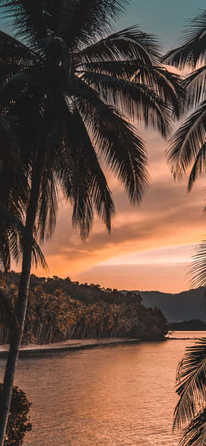 1170x2532 — Oppo Reno15 F Wallpapers
