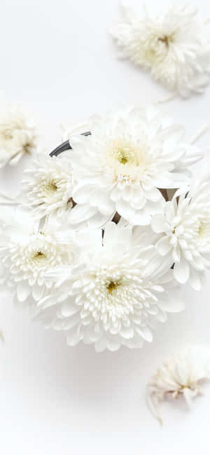 Hvid iPhone baggrund — ZTE Blade V Wallpapers