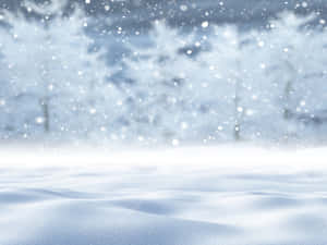 Snebaggrund — Vinteræstetik Wallpapers