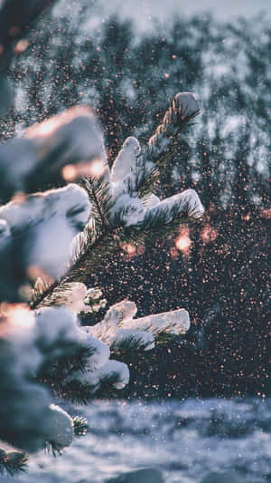 Hyggelig vinter Tumblr