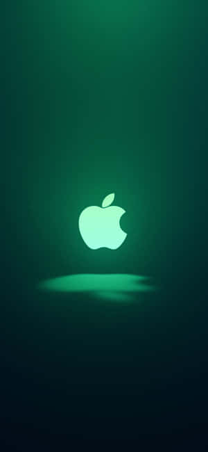 iPhone 11 Grøn — Pixel 8 Wallpapers