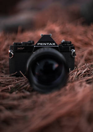 Foto af sort Pentax-kamera på en tapet med fuglerede. — Oppo Pad 6 Wallpapers
