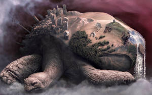 Cool Turtle og verdens wallpaper — Cool skildpadde Wallpapers