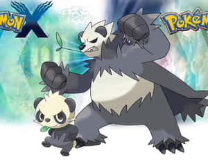Intens kamp mellem Pancham og Pangoro, Pokemon X og Y