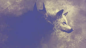 Billeder af sej ulv — Ulv Wallpapers