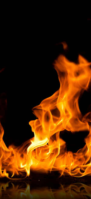 Introduktion af den nye iPhone 13 Mini - perfekt til din travle livsstil. — iPhone 14 Pro Wallpapers