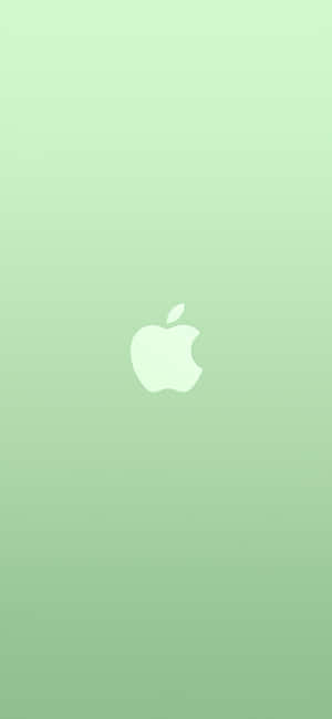 iPhone 11 Grøn — Pixel 7 Pro Wallpapers