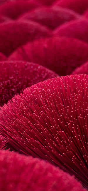 Iphone 11 Rød — Xiaomi 17 Pro Max Wallpapers