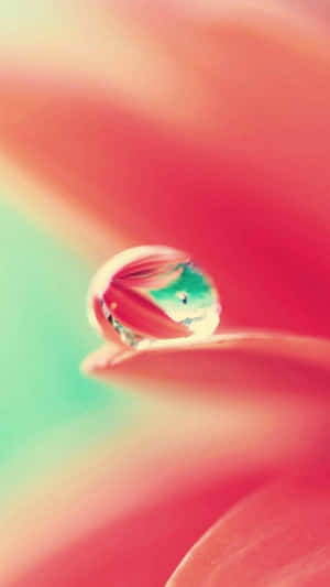 Iphone 7 Plus — iPhone 13 Pro Wallpapers
