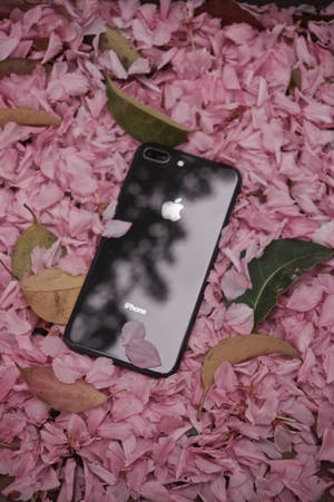 Iphone 8 Blomster — iPhone 8 Wallpapers