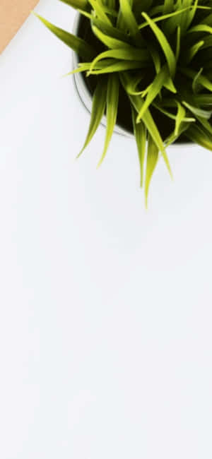 Iphone X Skrivebordsbaggrund — iPhone 12 Wallpapers