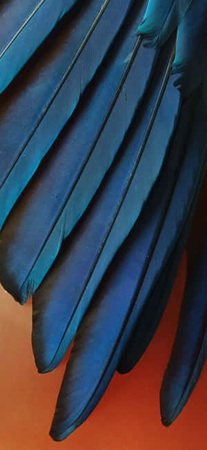 Iphone Xr Stock — Redmi Note 15 Pro Wallpapers