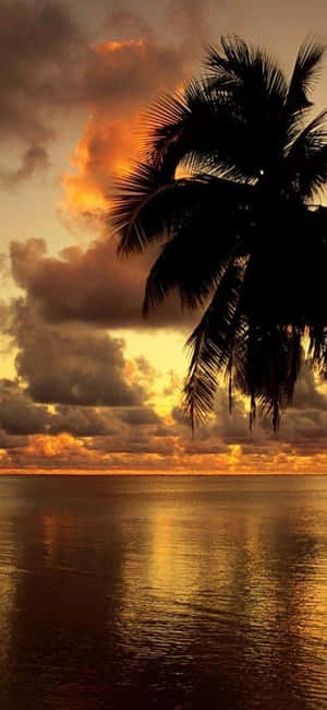 iPhone Xs Desktop Pc Baggrund — IQOO Neo Wallpapers