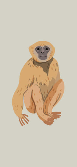 Iphone Xs Max Gibbon Baggrund — OnePlus Wallpapers