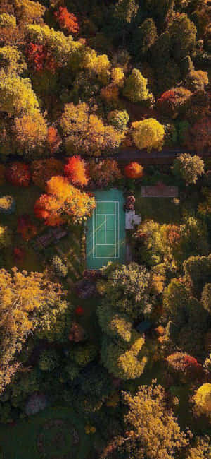 Iphone Xs Tennis baggrund — Fairphone Wallpapers