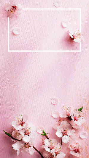 Japansk roseguld æstetisk design — Roséguld æstetik Wallpapers