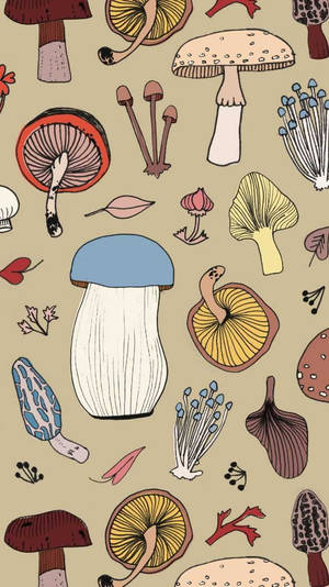 Jordnær svampeæstetik — Svampeæstetik Wallpapers