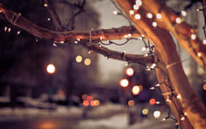 Julelys billeder — Julelys Wallpapers