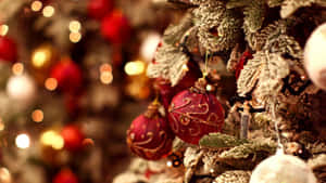 Smukke julebilleder — Smuk jul Wallpapers