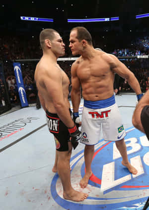 Junior Dos Santos UFC On Fox 1 — Vivo Pad5e Wallpapers