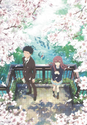 A Silent Voice par kirsebærblomster dam tapet — Oppo Pad 5 Pro Wallpapers