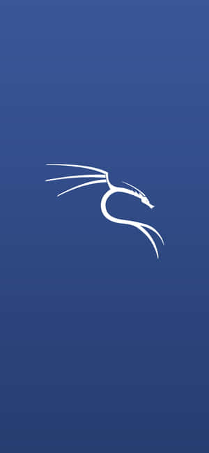 Kali Linux baggrund — CMF Phone 1 Wallpapers