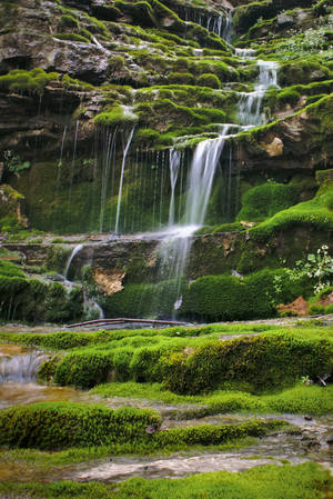 Kentucky Naturlandskab — Xiaomi Pad 8 Pro Wallpapers