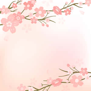 Kirsebærblomst Baggrund — Kirsebærblomst Wallpapers