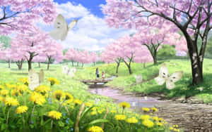 Kirsebærblomst Baggrund — Kirsebærblomst Wallpapers