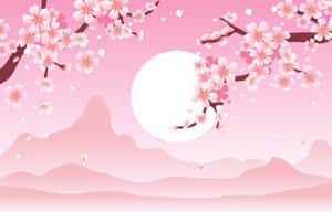 Kirsebærblomst Baggrund — Kirsebærblomst Wallpapers