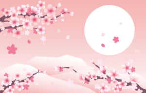 Kirsebærblomst Baggrund — Kirsebærblomst Wallpapers