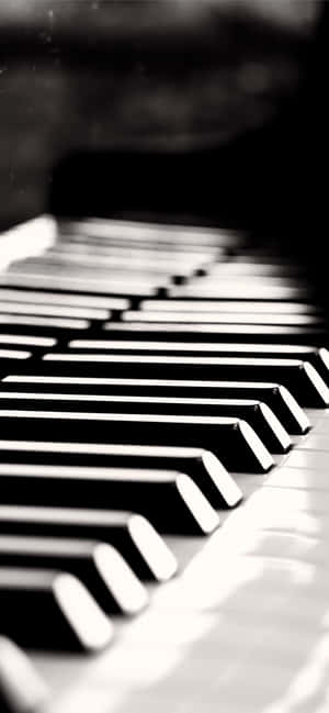 Billeder af musikinstrumenter — iPhone 12 Pro Wallpapers