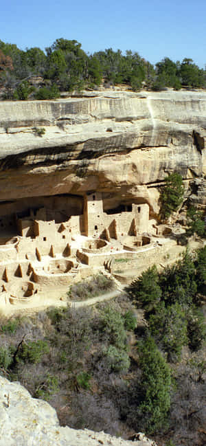Klippepalads Tan Farve Mesa Verde Nationalpark — Vivo X300 Ultra Wallpapers