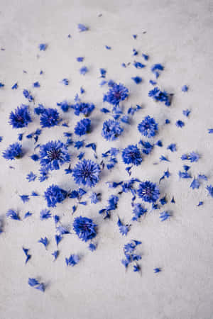 Knuste kronblade af blå blomster telefon — Huawei MatePad 11.5 (2026) Wallpapers
