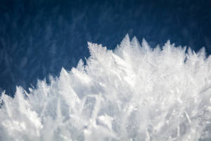 Kolde vinterkrystaller tapet — Kold Wallpapers