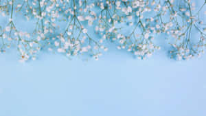 Lad din dag være fyldt med positivitet og skønhed. — Sød blå Wallpapers