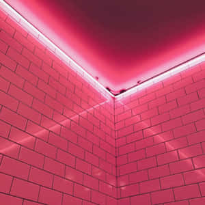 Neonlys æstetik billeder i pink — Lys pink æstetik Wallpapers