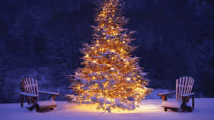 Smukke julebilleder — Smuk jul Wallpapers