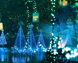 Smukke julebilleder — Smuk jul Wallpapers