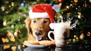 Søde æstetiske julebilleder — Sød juleæstetik Wallpapers