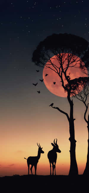 1080x2340
