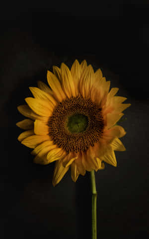 Solsikketelefon — RedMagic Tablet Wallpapers