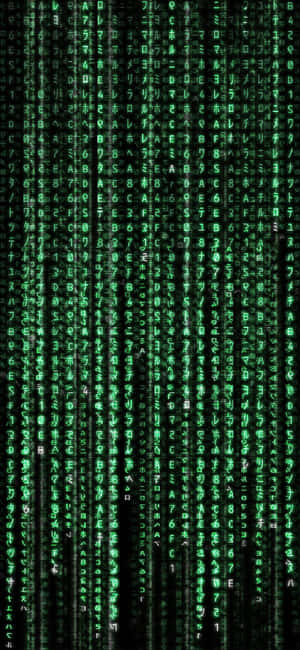 Matrix iPhone — Samsung Galaxy S20 Wallpapers