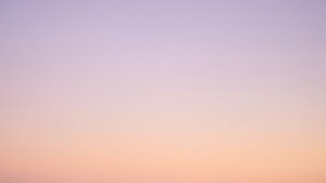 Jævn gradient tapet fra lavendel til fersken.