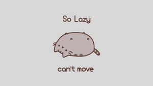 Meme billeder — Sød kat GIF Wallpapers