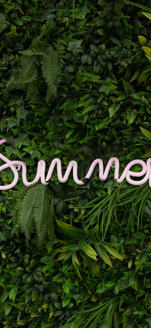 Summer Iphone Light On Greens — Blomstret iPhone Wallpapers